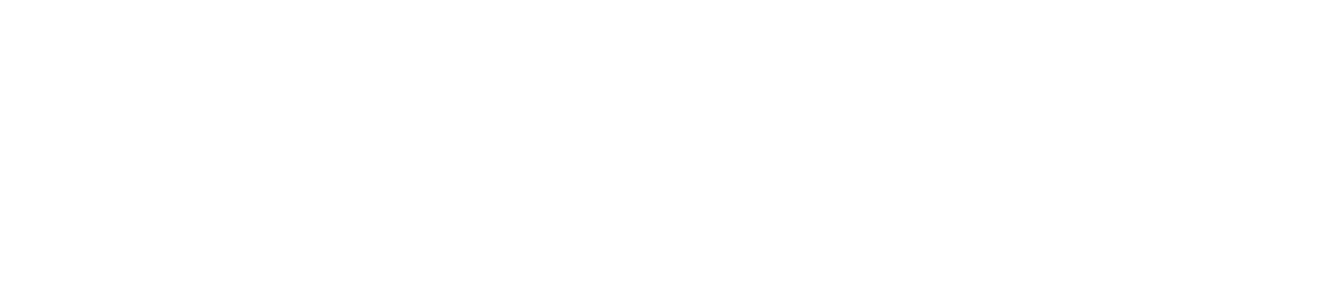 Filmbutik Logo